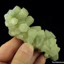 Aragonite (fluorescent) - image 3
