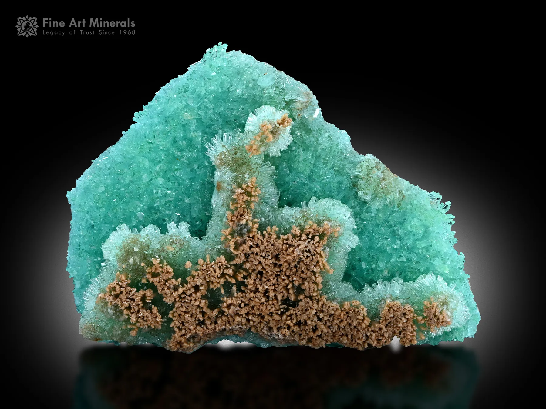 Aragonite from Afghanistan - image 1