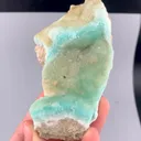 specimen video