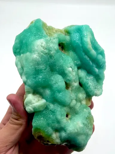 specimen video