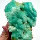 specimen video