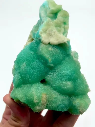 specimen video
