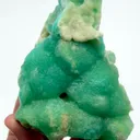 specimen video