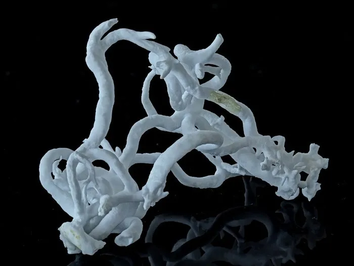 Aragonite from Austria, Styria, Eisenerz, Styrian Erzberg image