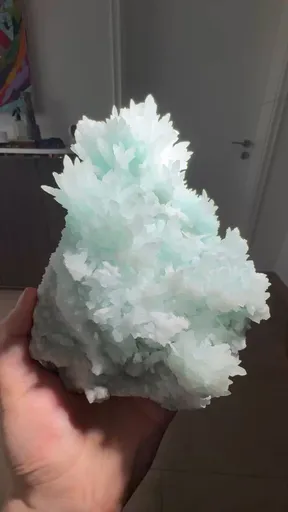 specimen video