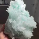 specimen video
