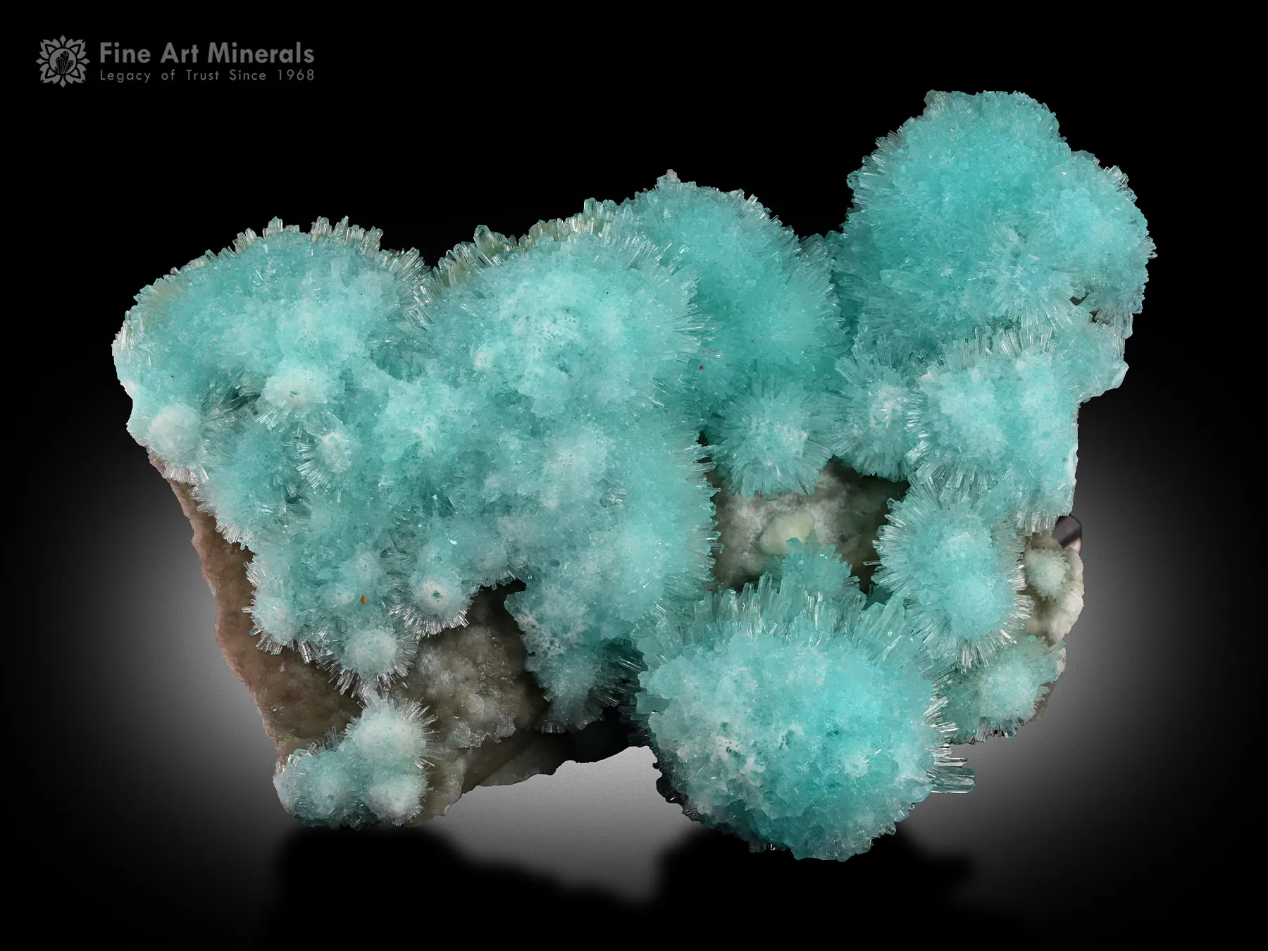 Aragonite from Helmand Afghanistan - image 2
