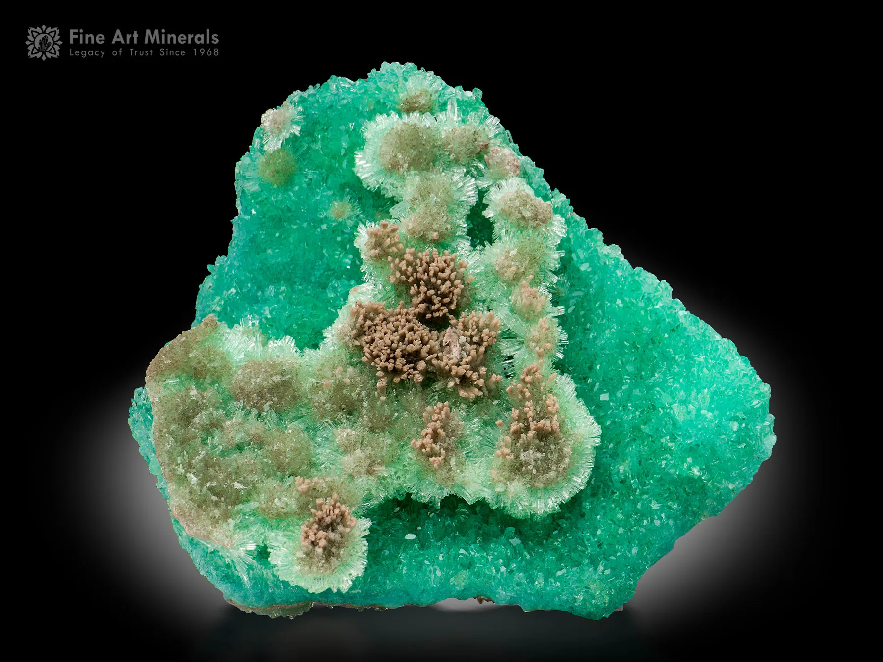 Aragonite from Helmand Afghanistan - image 1