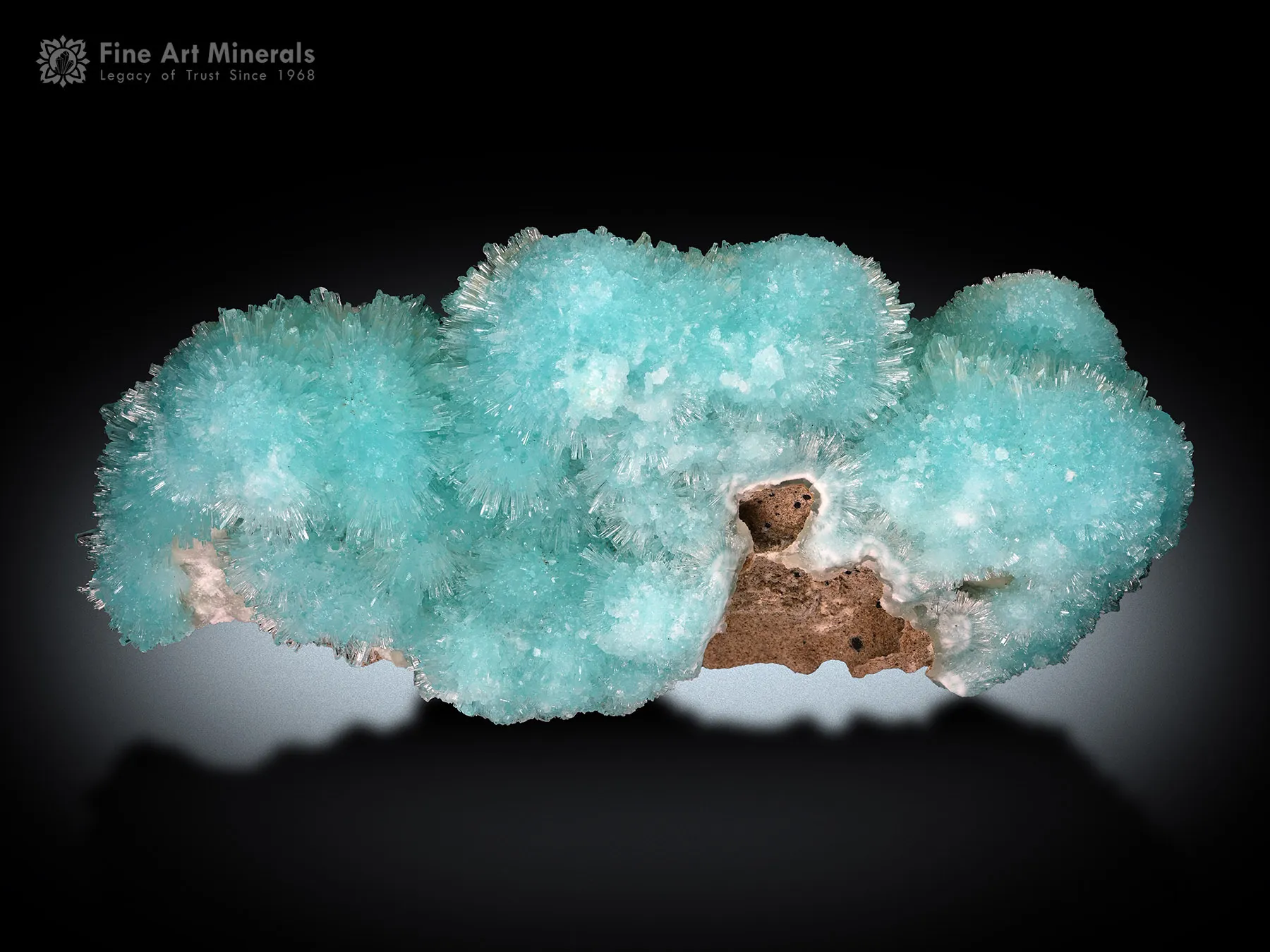 Aragonite from Helmand Afghanistan - image 2