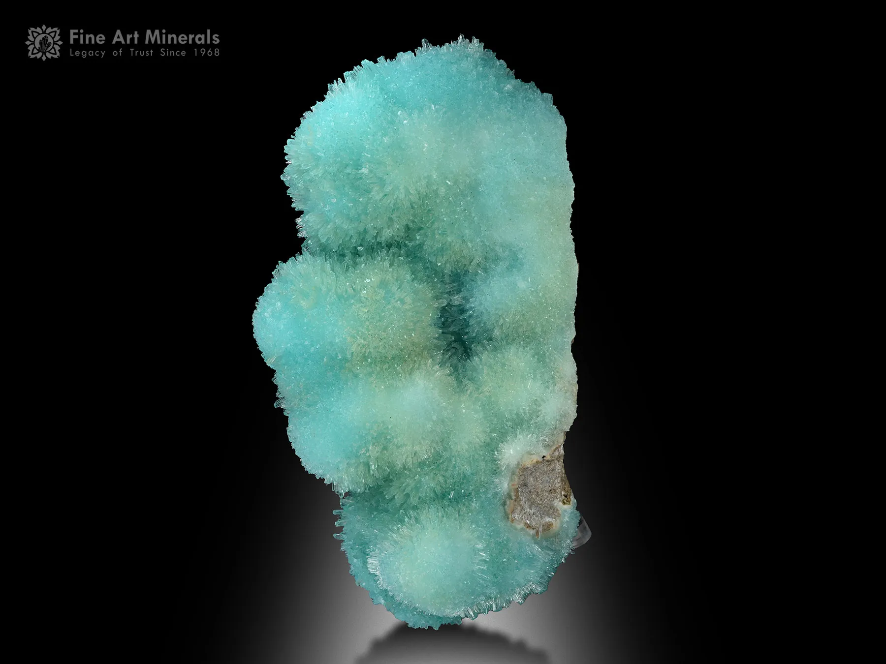 Aragonite from Helmand Afghanistan - image 4