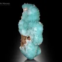 Aragonite from Helmand Afghanistan - image 5