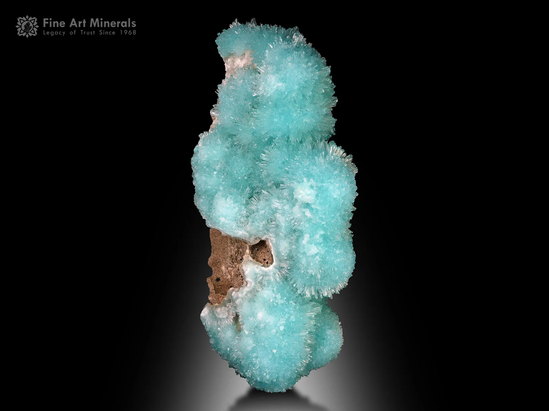 Aragonite from Helmand Afghanistan - image 5