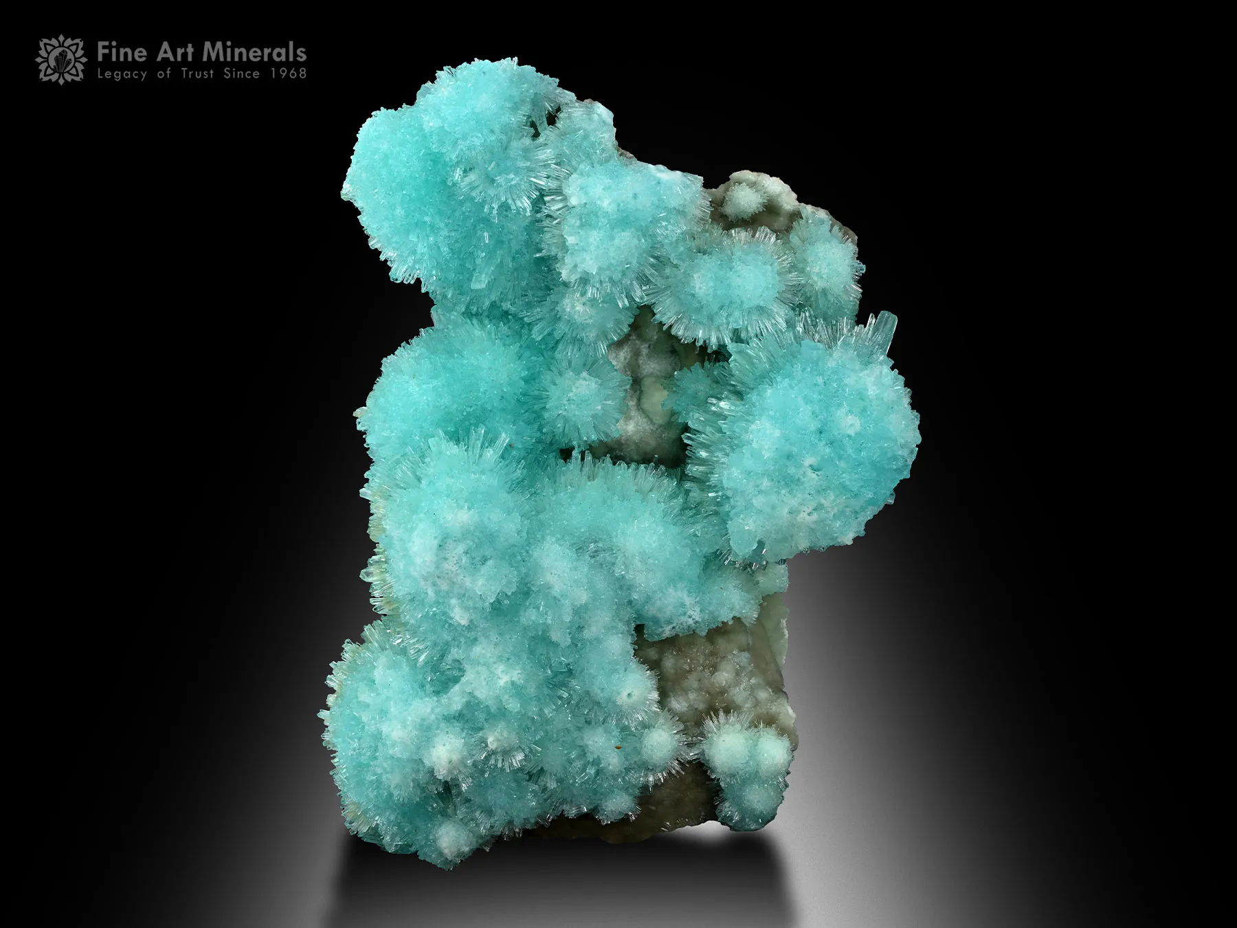 Aragonite from Helmand Afghanistan - image 1