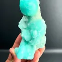 specimen video