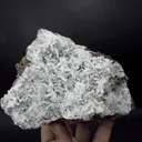 specimen video