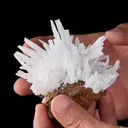 specimen video