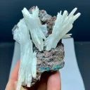 Aragonite from Pakistan - image 5