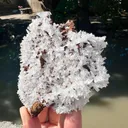 Aragonite from Pakistan - image 4