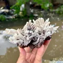 Aragonite from Pakistan - image 5
