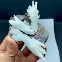 specimen video