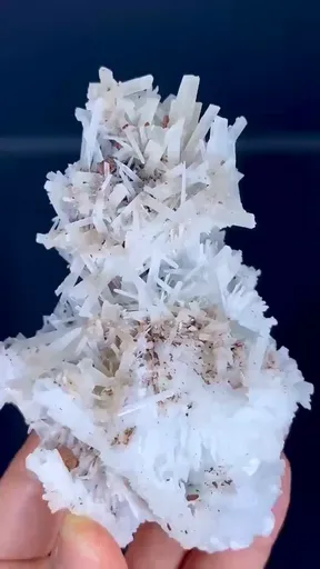 specimen video