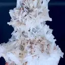 specimen video