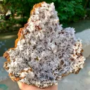 Aragonite from Pakistan, Balochistan - image 8
