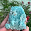 specimen video