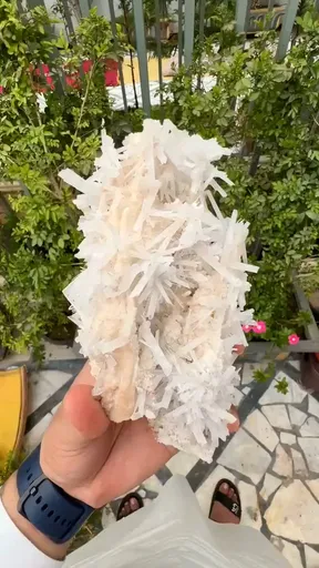 specimen video