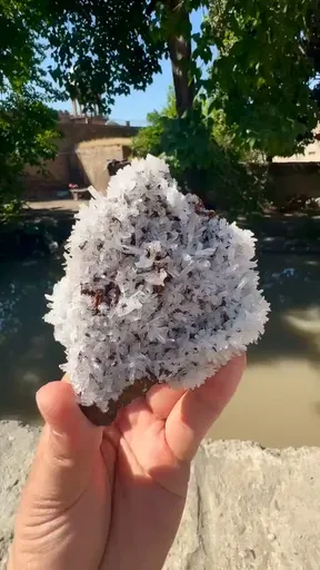 specimen video
