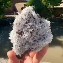 specimen video