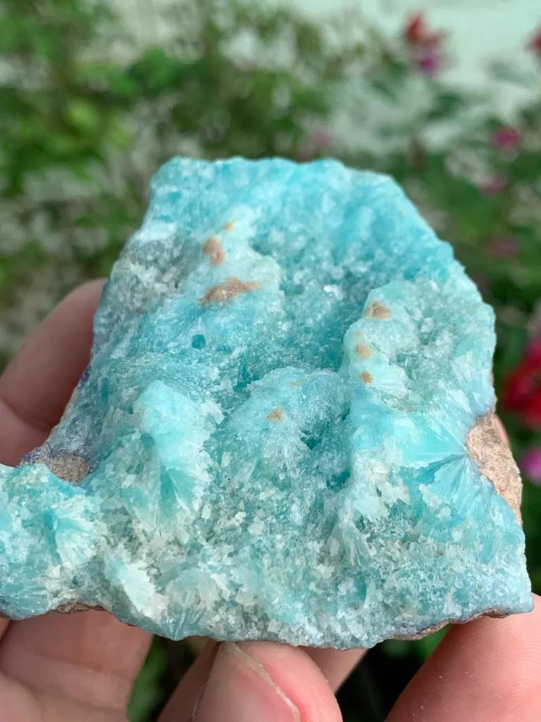 Aragonite from Pakistan - image 6