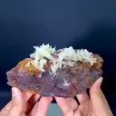 specimen video
