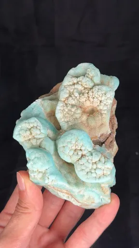specimen video