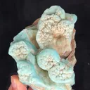 specimen video