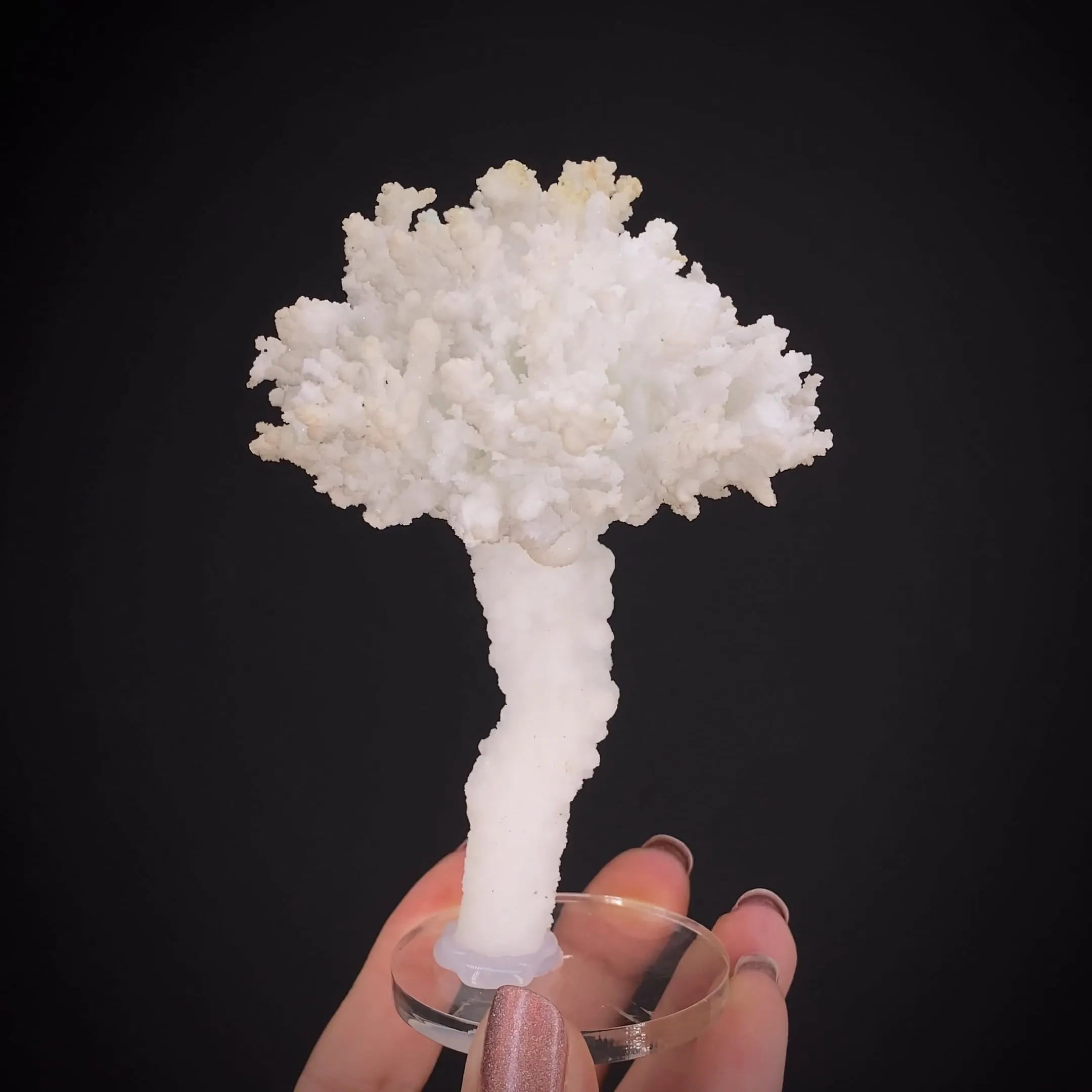 Aragonite on Aragonite stalactite - image 1