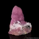 Aragonite on Aragonite var. Cobaltoan - image 3