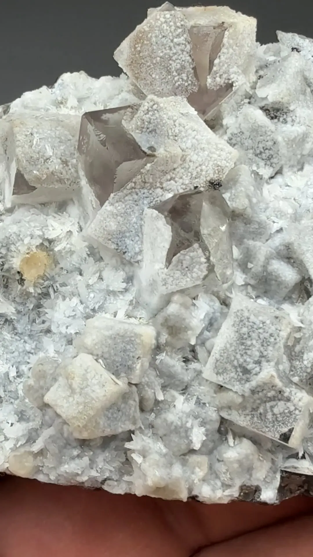 Aragonite on Fluorite - image 2