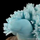 Aragonite var. Cuprian - image 5