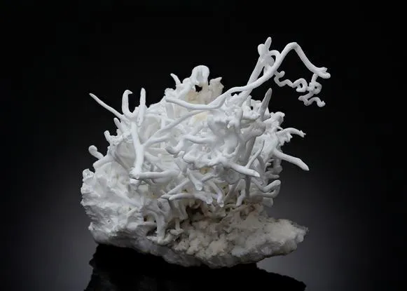 Aragonite var. Flos Ferri - image 1