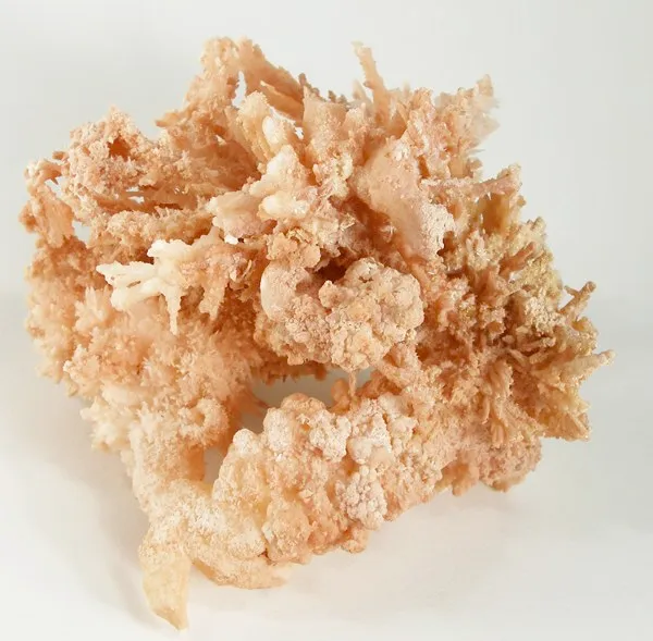 Aragonite (Var: Flos Ferri) image