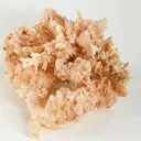 Aragonite (Var: Flos Ferri) - image 1
