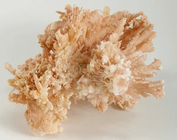 Aragonite (Var: Flos Ferri) - image 2