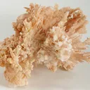 Aragonite (Var: Flos Ferri) - image 2