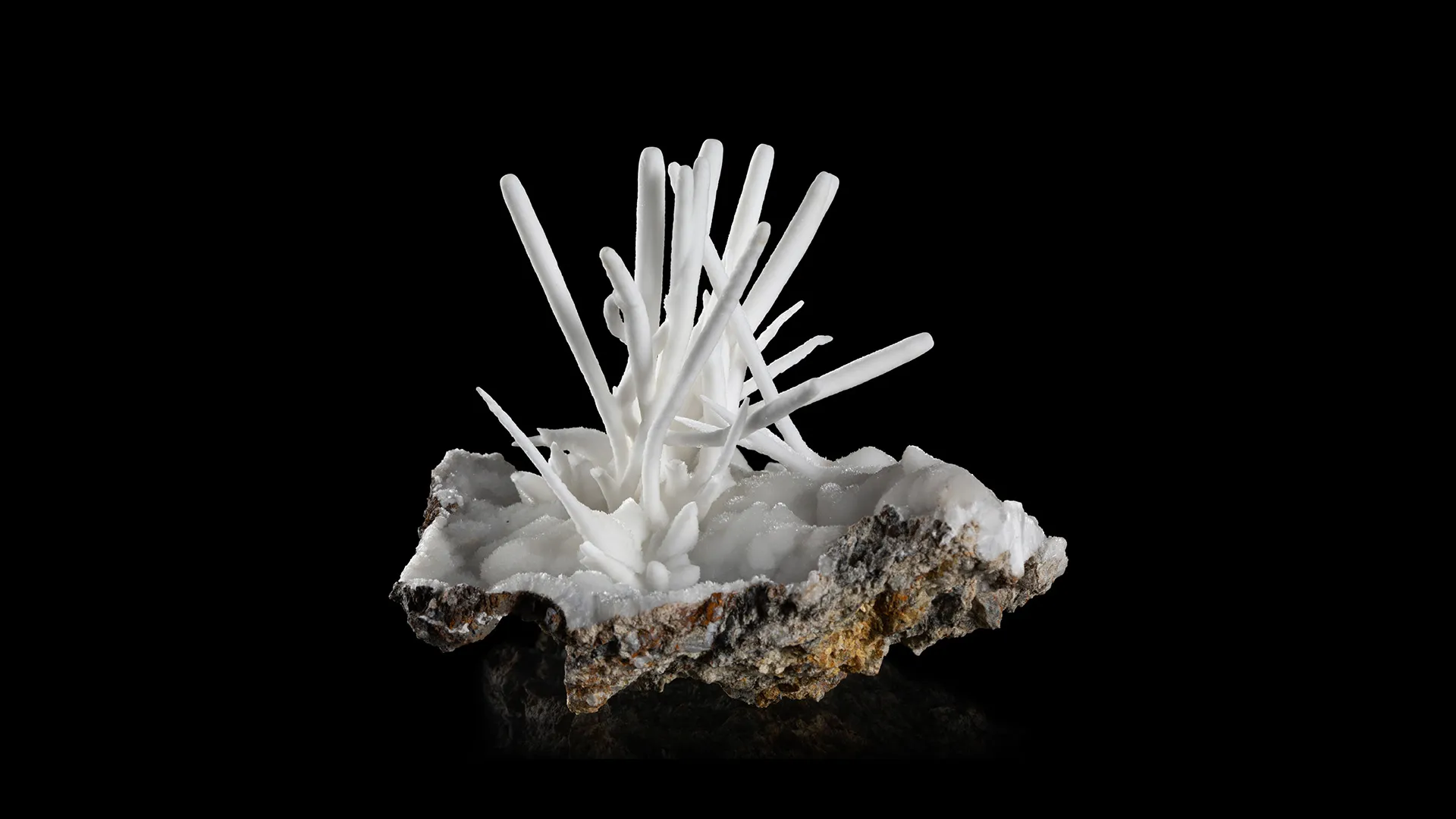 Aragonite (var. Flos ferri) - image 1