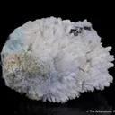 Aragonite var. Plumbian - image 4