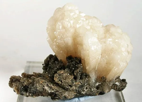Aragonite (Var: Plumboan Aragonite) image
