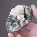 Aragonite Var. TARNOWITZITE - image 2