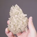 Aragonite Var. TARNOWITZITE - image 2