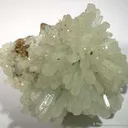 Aragonite Var. Tarnowitzite - image 4